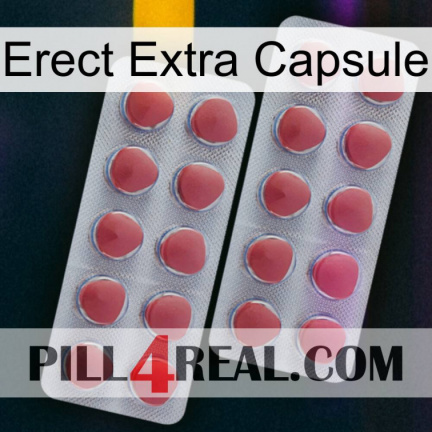 Erect Extra Capsule 19
